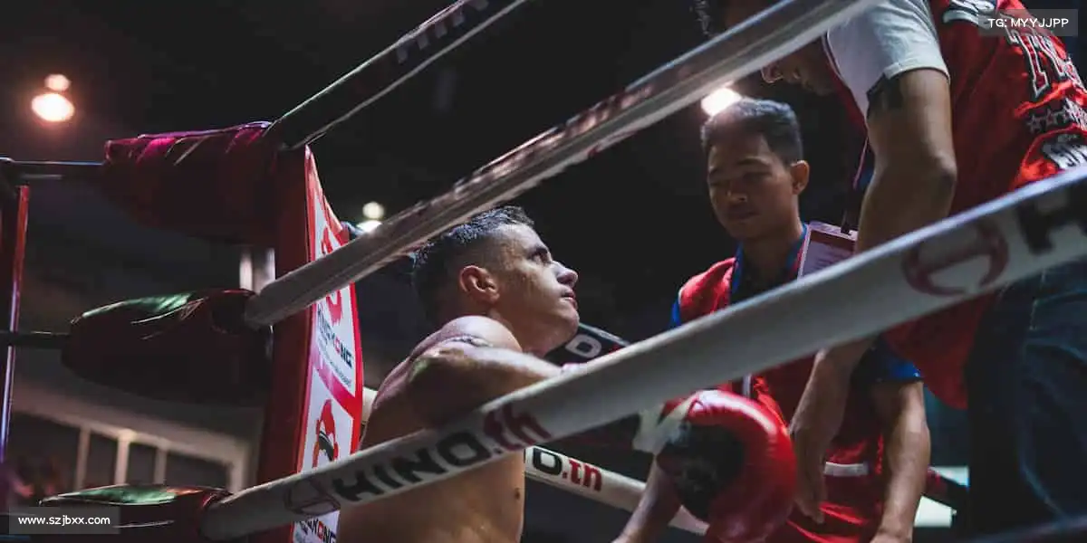 利来国利ag旗舰厅——🎯百步穿杨,精准致胜!